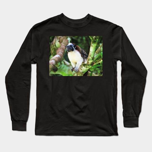 White Chested Monkey Perching in Tree Long Sleeve T-Shirt by julyperson